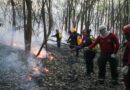 Período de seca extrema e fumaça preocupam especialistas; veja como se prevenir