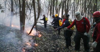 Período de seca extrema e fumaça preocupam especialistas; veja como se prevenir