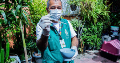 Mais de 10 mil casos de dengue são registrados em Manaus nos últimos meses