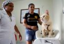 Serviço de castração abre vagas para agendamento na quarta-feira (15/7)